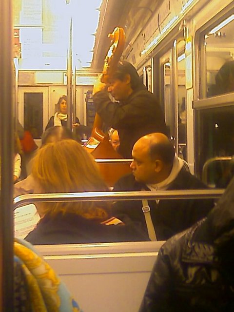 2008-09-27 Chat boule_l.jpg